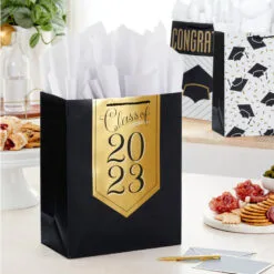 Hallmark 13" Assorted Grad Designs 3-Pack Large Gift Bags With Tissue Paper -Hallmark Store Assorted Grad Designs 3Pack Large Gift Bags With Tissue Paper 5GBC1015 02