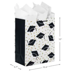 Hallmark 13" Assorted Grad Designs 3-Pack Large Gift Bags With Tissue Paper -Hallmark Store Assorted Grad Designs 3Pack Large Gift Bags With Tissue Paper 5GBC1015 03
