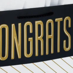 Hallmark 13" Assorted Grad Designs 3-Pack Large Gift Bags With Tissue Paper -Hallmark Store Assorted Grad Designs 3Pack Large Gift Bags With Tissue Paper 5GBC1015 05