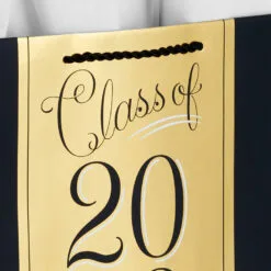Hallmark 13" Assorted Grad Designs 3-Pack Large Gift Bags With Tissue Paper -Hallmark Store Assorted Grad Designs 3Pack Large Gift Bags With Tissue Paper 5GBC1015 06