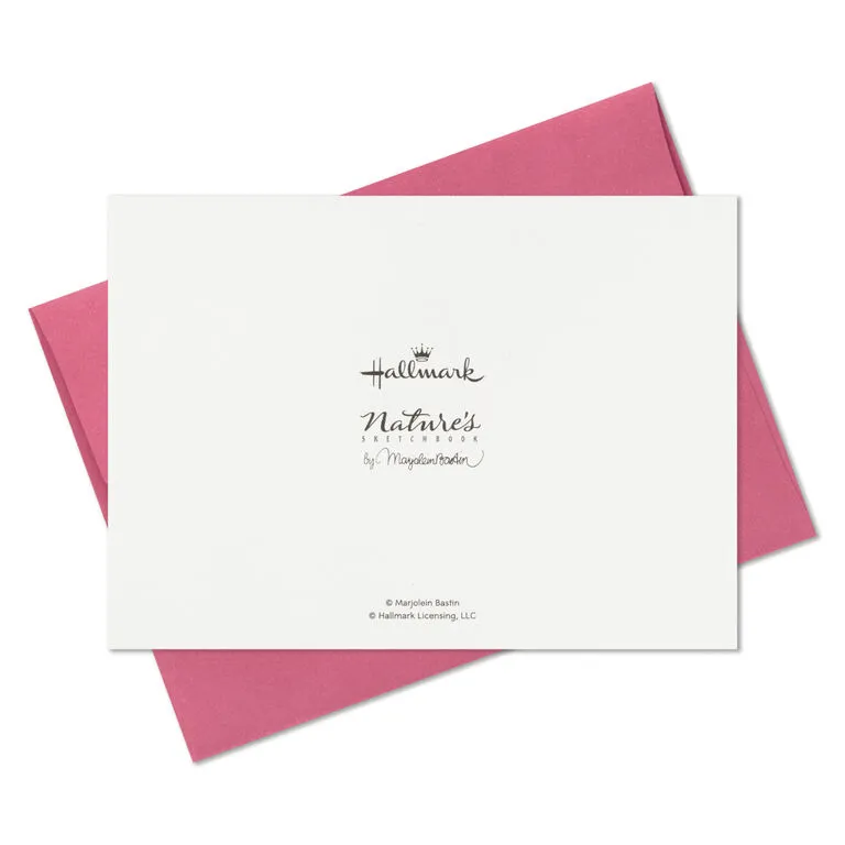 Hallmark Marjolein Bastin Assorted Blank Nature Note Cards In Caddy, Pack Of 24 9 Hallmark Marjolein Bastin Assorted Blank Nature Note Cards In Caddy, Pack Of 24 - Image 9