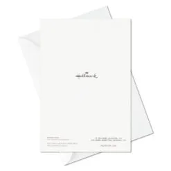 Hallmark Big Celebrations Assorted Cards, Box Of 12 -Hallmark Store Big Celebrations Assorted Cards Bulk Pack 5EDX1073 06