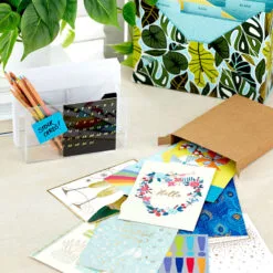 Hallmark Big Celebrations Assorted Cards, Box Of 12 -Hallmark Store Big Celebrations Assorted Cards Bulk Pack 5EDX1073 07