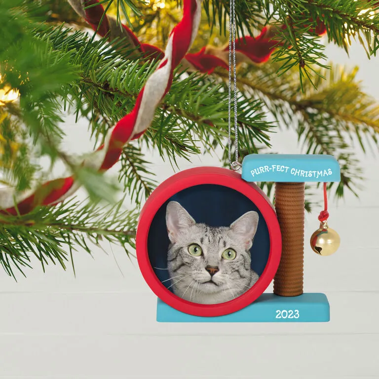 Hallmark Purr-fect Christmas 2023 Photo Frame Ornament 2 Hallmark Purr-fect Christmas 2023 Photo Frame Ornament - Image 2