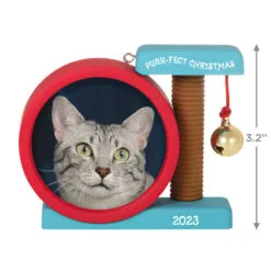 Hallmark Purr-fect Christmas 2023 Photo Frame Ornament 8 Hallmark Purr-fect Christmas 2023 Photo Frame Ornament -Hallmark Store Cat Scratcher Toy Picture Frame Keepsake Ornament 1599QGO2597 03