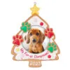 Hallmark My Fur-st Christmas 2023 Photo Frame Ornament