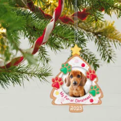 Hallmark My Fur-st Christmas 2023 Photo Frame Ornament 7 Hallmark My Fur-st Christmas 2023 Photo Frame Ornament -Hallmark Store Christmas Cookie Pet Picture Frame Keepsake Ornament 1599QGO2607 02