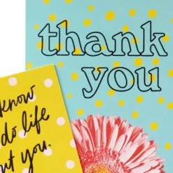 Hallmark Colorful Daisies Boxed Thank-You Notes, Pack Of 50 -Hallmark Store Colorful Daisies Boxed ThankYou Notes 3THK2543 05