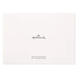 Hallmark Flowers And Dots Assorted Blank Note Cards, Box Of 50 -Hallmark Store Flowers and Dots Assorted Blank Note Cards 5WDN2069 06