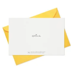 Hallmark Fun Kids Assortment Encouragement Cards, Pack Of 36 15 Hallmark Fun Kids Assortment Encouragement Cards, Pack Of 36 -Hallmark Store Fun Kids Assortment Encouragement Cards 5STZ1140 08