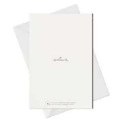 Hallmark Confetti Celebration Assorted Graduation Cards, Pack Of 36 -Hallmark Store Grad Caps Confetti Graduation Cards Assortment 5GEY1003 07