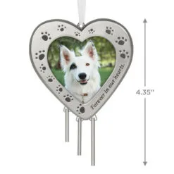 Hallmark Forever In Our Hearts Metal Photo Frame Pet Memorial Ornament -Hallmark Store HeartShaped Pet Picture Frame Keepsake Ornament 1999QHX3087 03