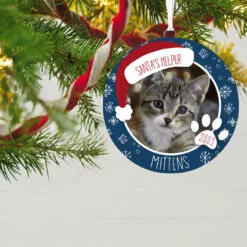Hallmark Store -Hallmark Store Holiday Pet Personalized Round Christmas Ornament 1999QHE1711B21 02