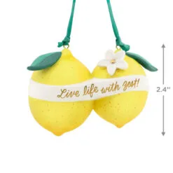Hallmark Live Life With Zest! Porcelain Ornament -Hallmark Store Live Life With Zest Lemons Keepsake Ornament 1799QHX3057 03