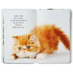Hallmark Pet Prayers: Funny Pleas And Praise From Our Animal Friends Book 6 Hallmark Pet Prayers: Funny Pleas And Praise From Our Animal Friends Book -Hallmark Store Pet Prayers Funny Pleas and Praise From Our Animal Friends Book root 1BOK1418 BOK1418 1470 3.jpg Source Image