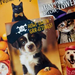 Hallmark Pet Puns Boxed Halloween Cards Assortment, Pack Of 48 -Hallmark Store Pet Puns Boxed Halloween Cards Assortment 5ELT1013 03