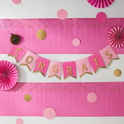 Hallmark Color Pop Party Decor Kit, Pink And Gold -Hallmark Store Pink and Gold Party Supplies Banner Decorations 5CLP1019 03