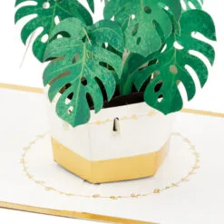 Hallmark Plant In Pot 3D Pop-Up Thinking Of You Card -Hallmark Store Plant in Pot 3D PopUp Thinking of You Card 1299LAD2900 03