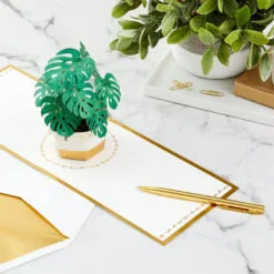 Hallmark Plant In Pot 3D Pop-Up Thinking Of You Card -Hallmark Store Plant in Pot 3D PopUp Thinking of You Card 1299LAD2900 07