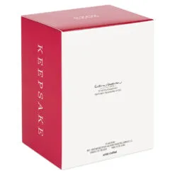 Hallmark Star Wars: Return Of The Jedi™ A Curious Encounter On Endor™ Ornament -Hallmark Store Return of the Jedi Wicket Ewok Keepsake Ornament 2699QXI7097 05