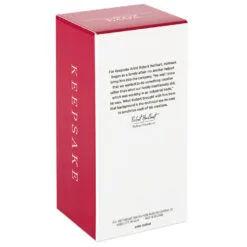 Hallmark Toymaker Santa Ornament -Hallmark Store Santa With Drone Keepsake Ornament 1999QXR8047 05