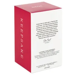 Hallmark Season's Gardenings Ornament -Hallmark Store TreeShaped Gardening Planter Keepsake Ornament 1899QGO2947 05