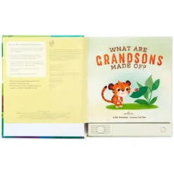 Hallmark What Are Grandsons Made Of? Recordable Storybook -Hallmark Store What Are Grandsons Made Of Recordable Storybook 1KOB1230 03